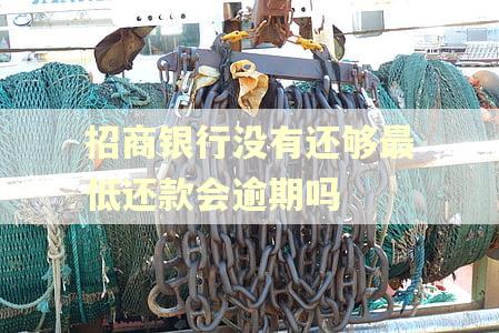招商银行没有还够最低还款会逾期吗
