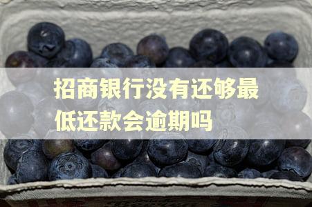 招商银行没有还够最低还款会逾期吗