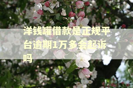 洋钱罐借款是正规平台逾期1万多会起诉吗