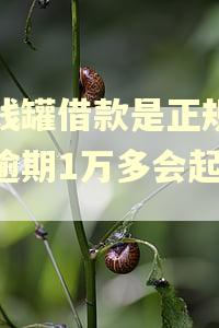 洋钱罐借款是正规平台逾期1万多会起诉吗