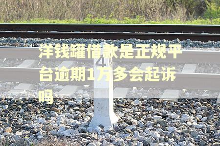 洋钱罐借款是正规平台逾期1万多会起诉吗