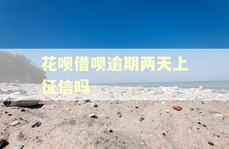 花呗借呗逾期两天上征信吗 花呗借呗逾期两天上征信吗
