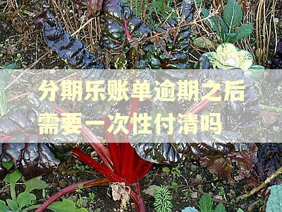 分期乐账单逾期之后需要一次性付清吗