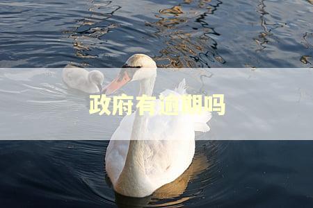 政府有逾期吗