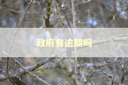 政府有逾期吗 政府有逾期吗