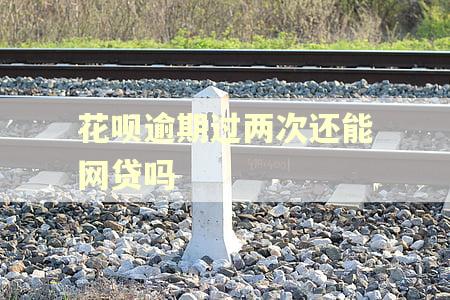 花呗逾期过两次还能网贷吗
