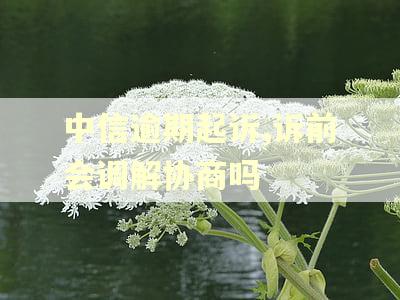 中信逾期起诉,诉前会调解协商吗