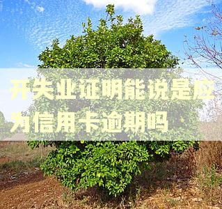 开失业证明能说是应为信用卡逾期吗
