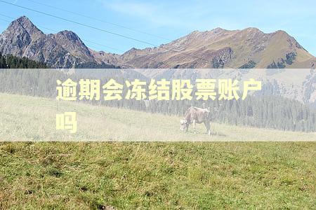 逾期会冻结股票账户吗