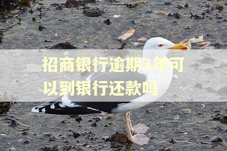 招商银行逾期3年可以到银行还款吗