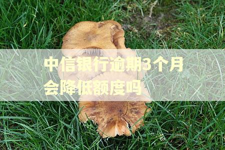 中信银行逾期3个月会降低额度吗