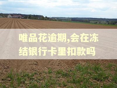唯品花逾期,会在冻结银行卡里扣款吗 唯品花逾期,会在冻结银行卡里扣款吗