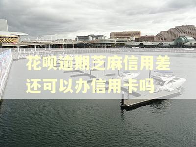 花呗逾期芝麻信用差还可以办信用卡吗
