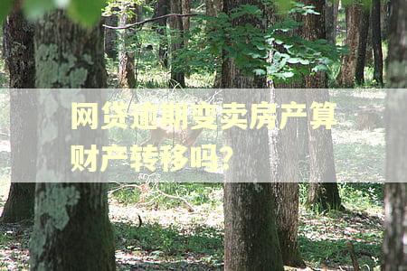 网贷逾期变卖房产算财产转移吗？