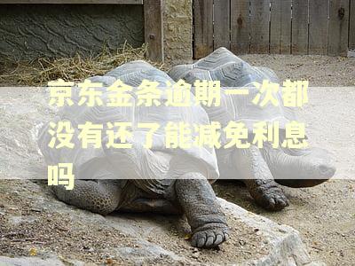 京东金条逾期一次都没有还了能减免利息吗