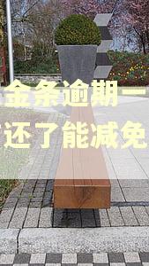 京东金条逾期一次都没有还了能减免利息吗