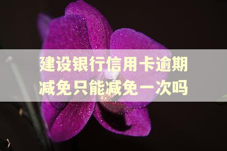建设银行信用卡逾期减免只能减免一次吗