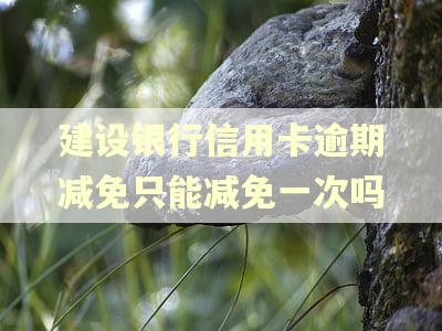 建设银行信用卡逾期减免只能减免一次吗 建设银行信用卡逾期减免只能减免一次吗