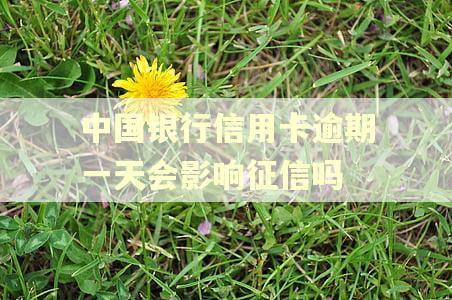 中国银行信用卡逾期一天会影响征信吗