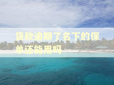 贷款逾期了名下的保单还能用吗