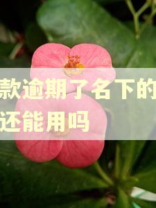 贷款逾期了名下的保单还能用吗