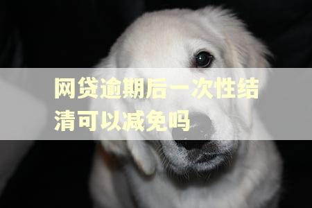 网贷逾期后一次性结清可以减免吗