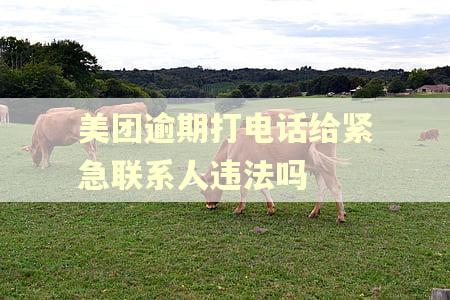 美团逾期打电话给紧急联系人违法吗 美团逾期打电话给紧急联系人违法吗