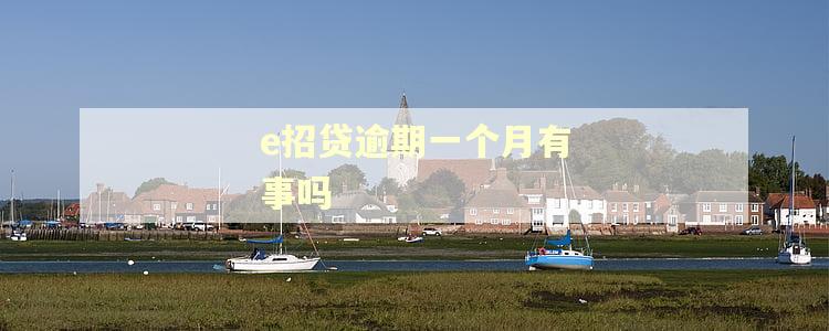 e招贷逾期一个月有事吗