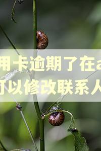 信用卡逾期了在app可以修改联系人吗