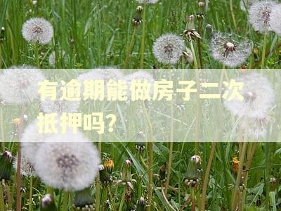 有逾期能做房子二次抵押吗？