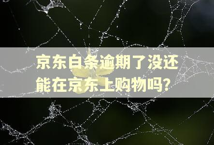 京东白条逾期了没还能在京东上购物吗? 京东白条逾期了没还能在京东上购物吗?