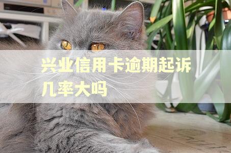 兴业信用卡逾期起诉几率大吗 兴业信用卡逾期起诉几率大吗