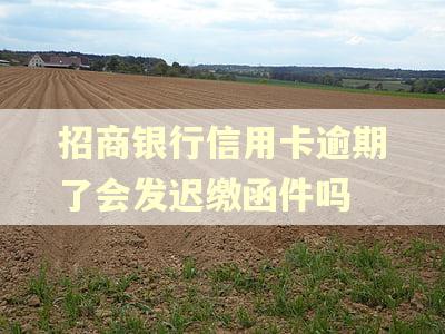 招商银行信用卡逾期了会发迟缴函件吗
