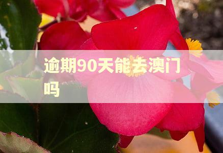 逾期90天能去澳门吗
