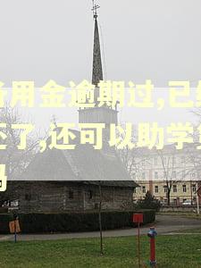备用金逾期过,已经还了,还可以助学贷吗