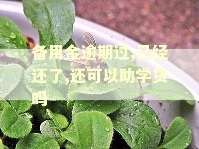备用金逾期过,已经还了,还可以助学贷吗