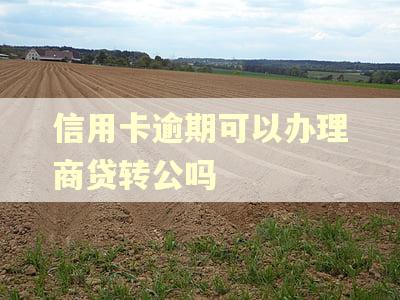 信用卡逾期可以办理商贷转公吗