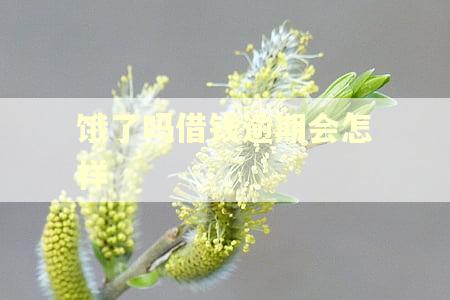 饿了吗借钱逾期会怎样
