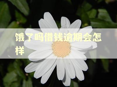 饿了吗借钱逾期会怎样