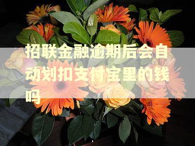 招联金融逾期后会自动划扣支付宝里的钱吗