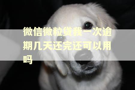微信微粒贷我一次逾期几天还完还可以用吗