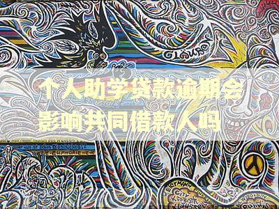 个人助学贷款逾期会影响共同借款人吗
