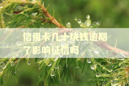 信用卡几十块钱逾期了影响征信吗