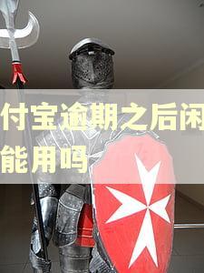 支付宝逾期之后闲鱼还能用吗 支付宝逾期之后闲鱼还能用吗