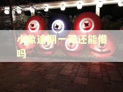 小象逾期一天还能借吗