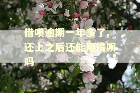 借呗逾期一年多了,还上之后还能用借呗吗