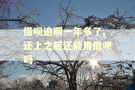 借呗逾期一年多了,还上之后还能用借呗吗