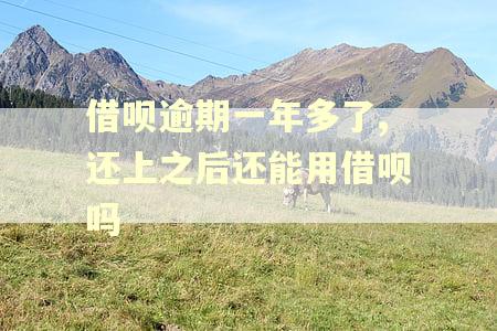 借呗逾期一年多了,还上之后还能用借呗吗