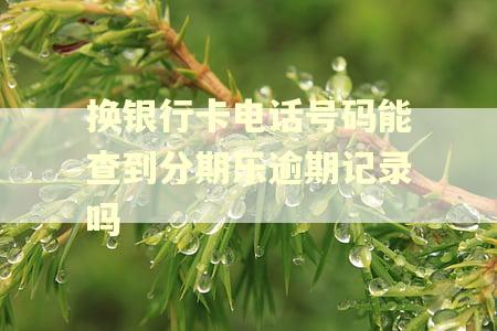 换银行卡电话号码能查到分期乐逾期记录吗