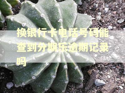 换银行卡电话号码能查到分期乐逾期记录吗